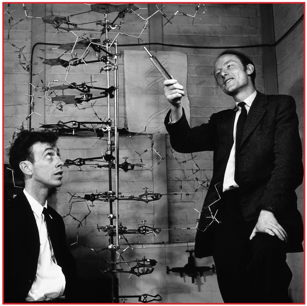 Watson en Crick