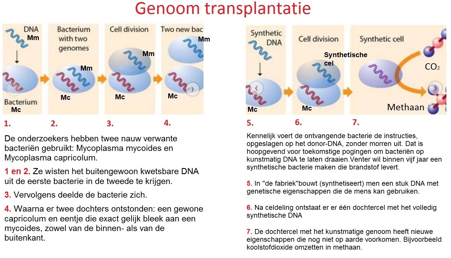 Genoomtransplantatie