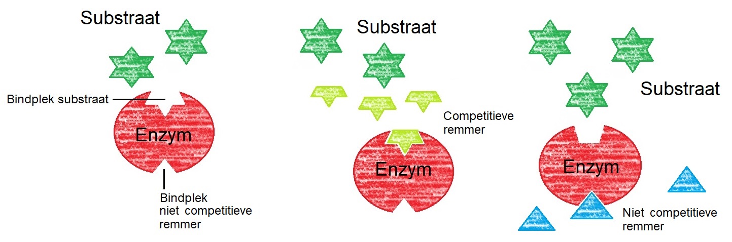 Competitieve Remming van enzymen