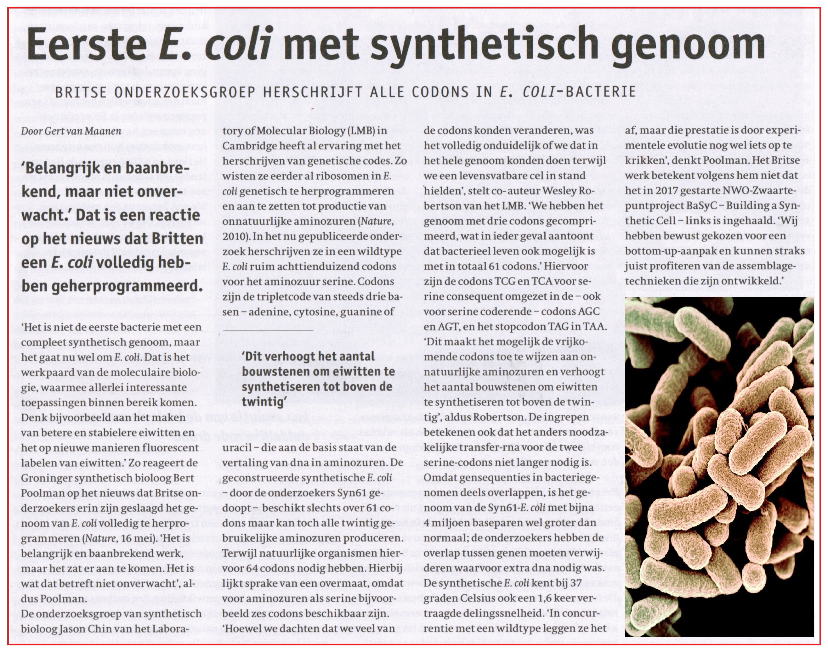 Eerste E coli met synthetisch genoom