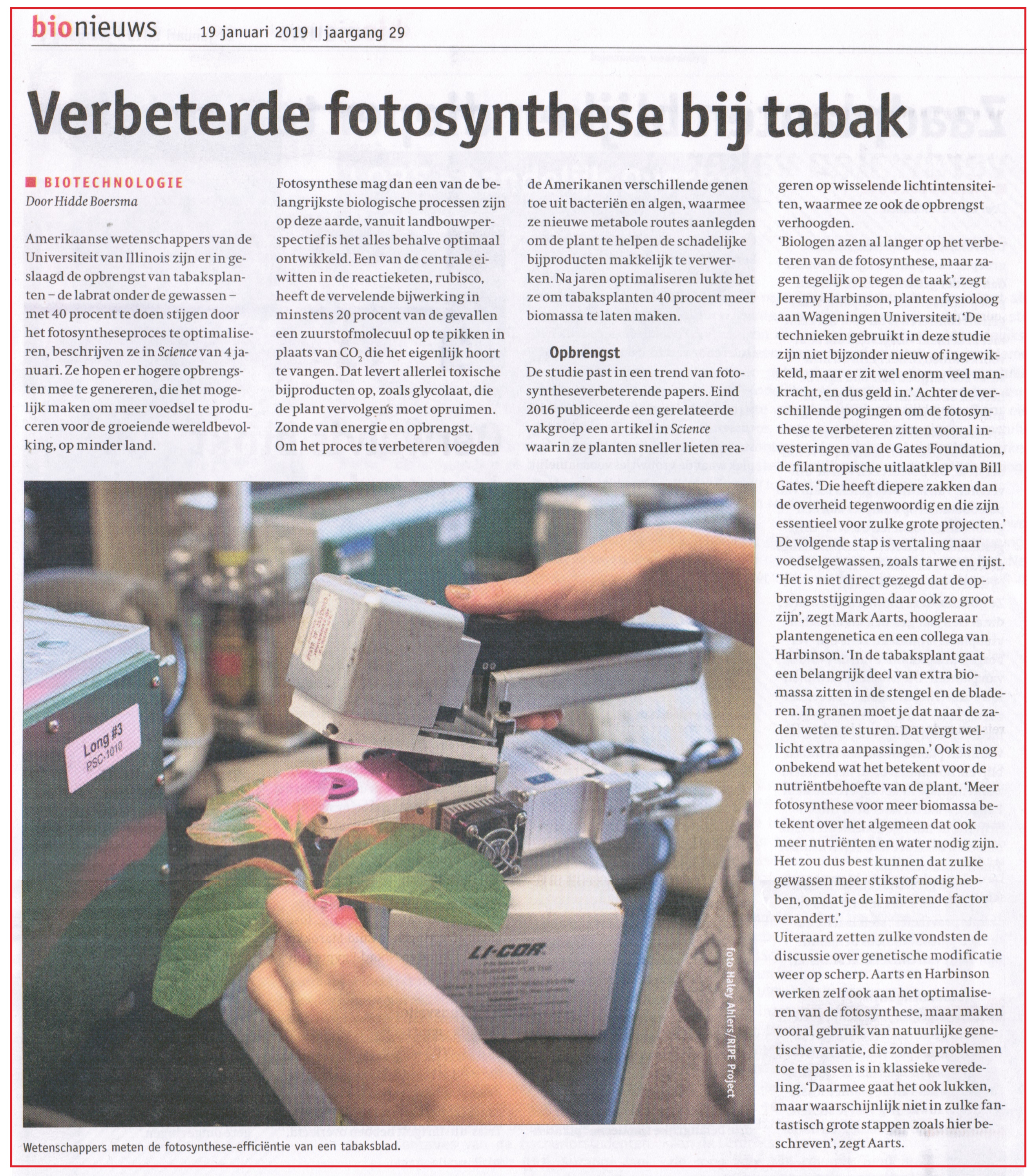 Verbeterde fotosynthese bij tabak