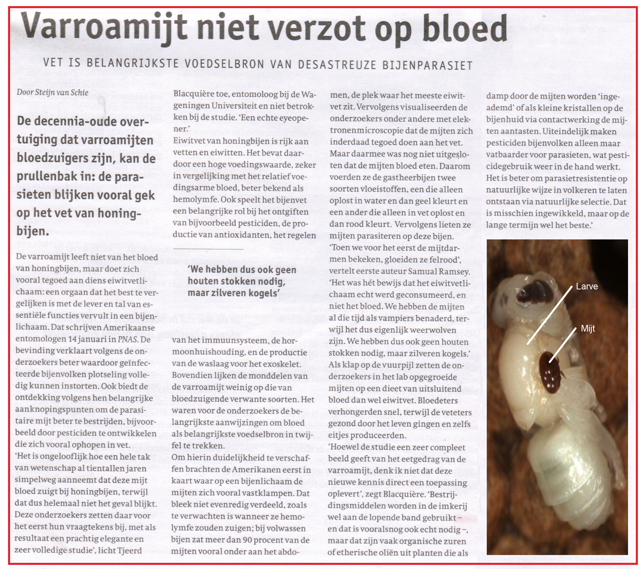 Varroamijt niet verzot op bloed