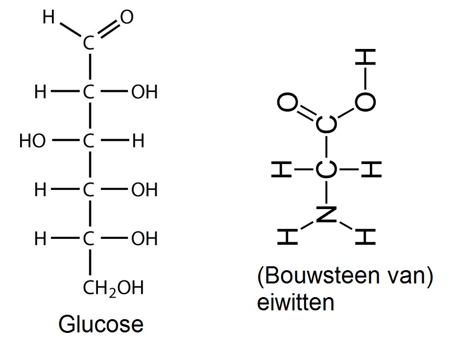 Glucose en eiwitten