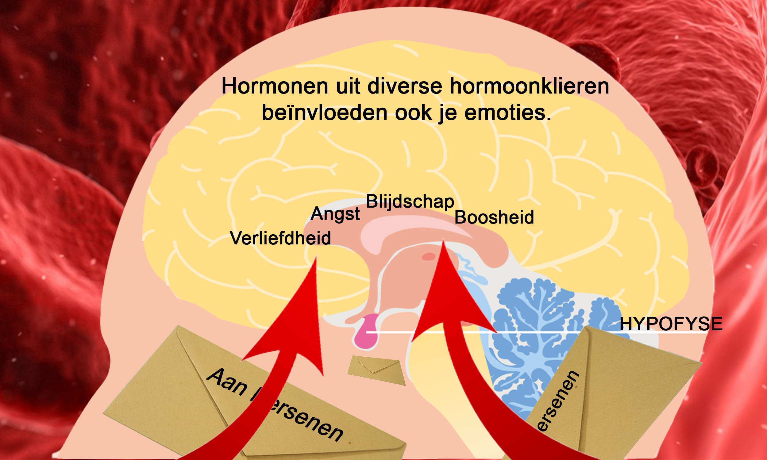 Hormonen en hun emoties