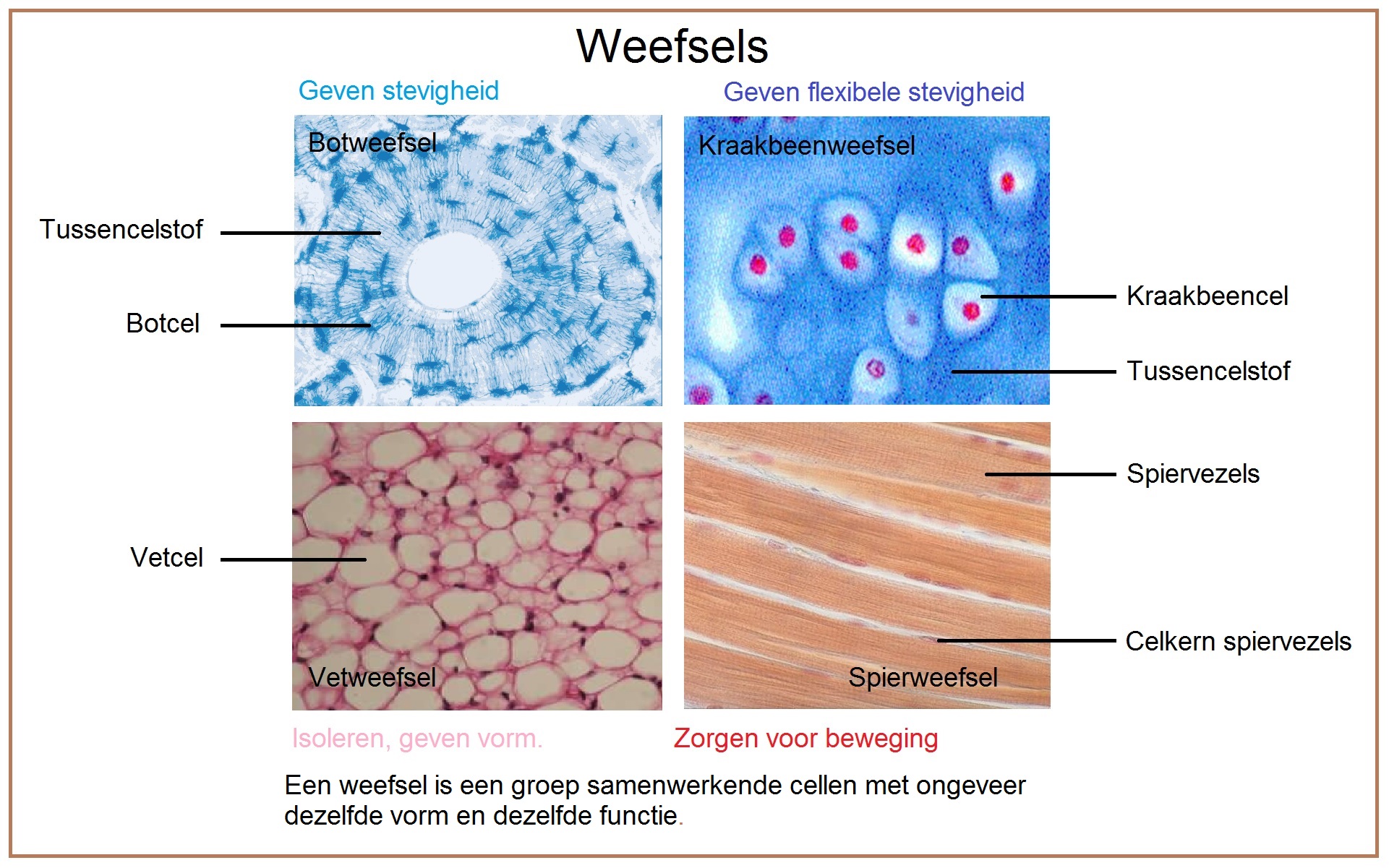 weefsels