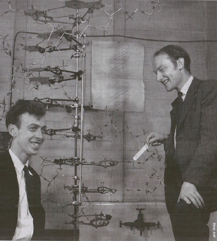 James Watson en Francis Crick