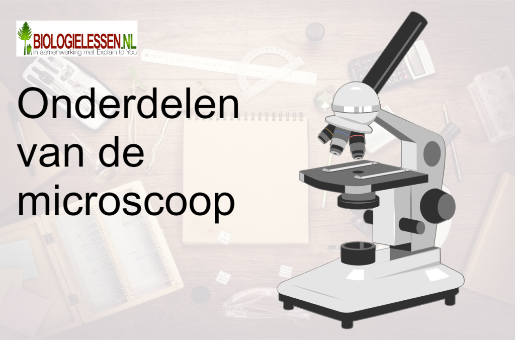 Onderdelen van de microscoop OB