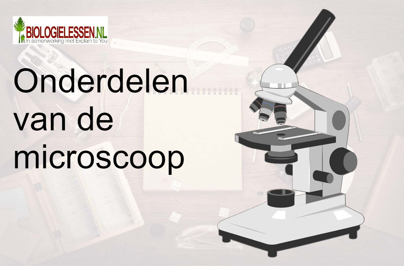 4. Onderdelen van de microscoop Biologielessen.nl