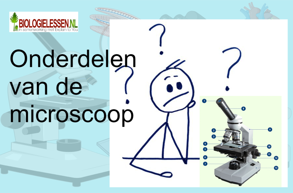 Onderdelen van de microscoop vaardigheden