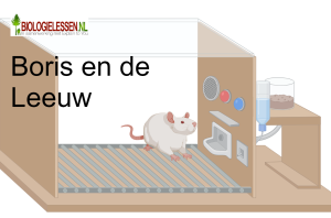 Boris en de Leeuw