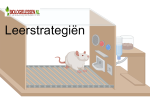 Leerstrategien