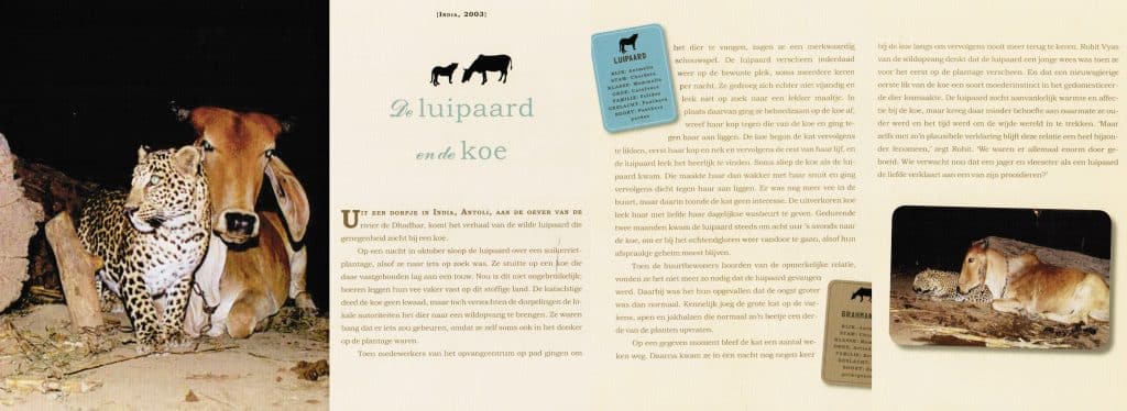 Onmogelijke liefdes De luipaard en de koe
