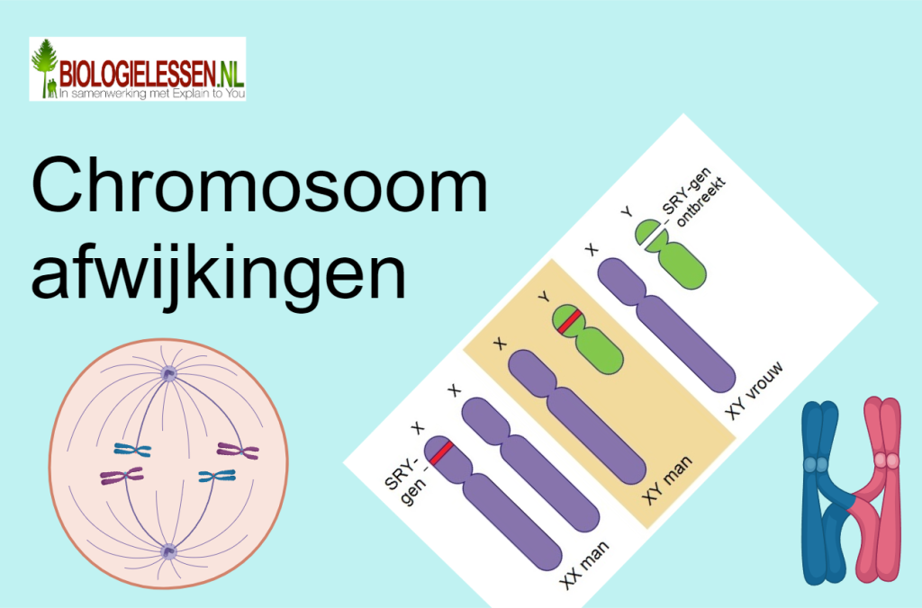 Chromosoomafwijkingen