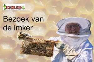 Bezoek van de imker bijen