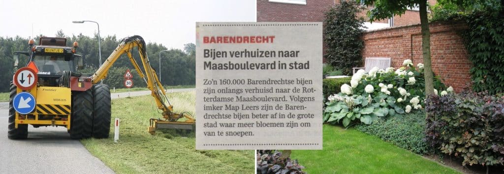 Bijen verhuizen naar Maasboulevard in stad 31 Bijenverhuizennaargrotestad