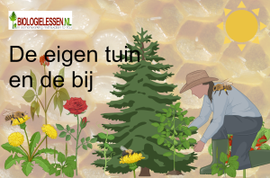 De eigen tuin en de bij bijen