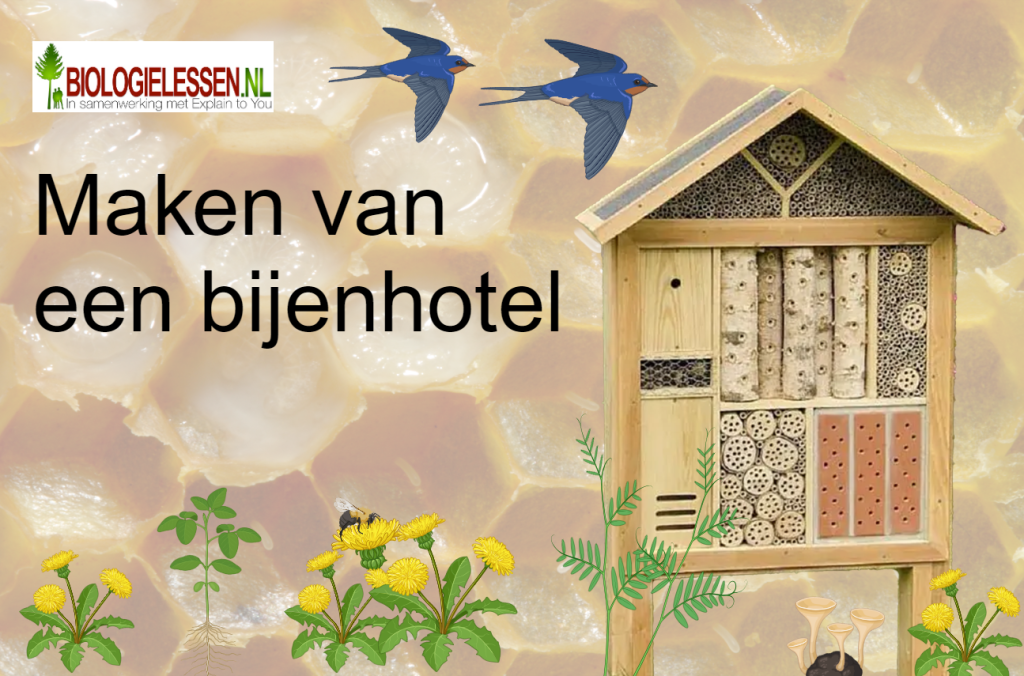 Het maken van een bijenhotel bijen