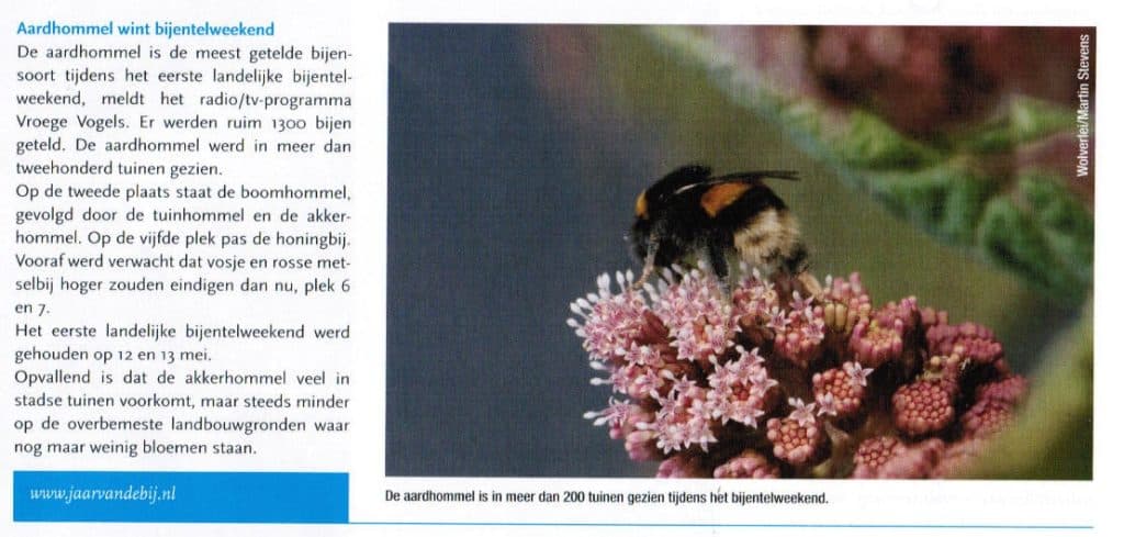Aardhommel wint bijentelweekend 4 Aardhommel wint bijentelweekend