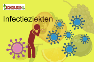 Infectieziekten OB