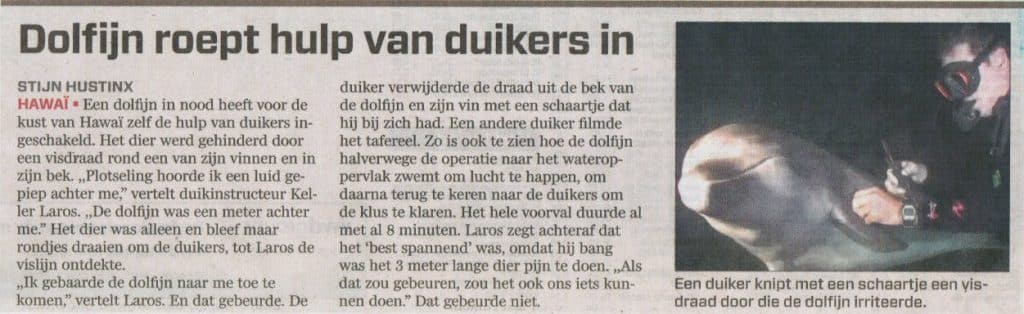 Dolfijn roept hulp van duikers in 1 Dolfijnroepthulpvanduikersin