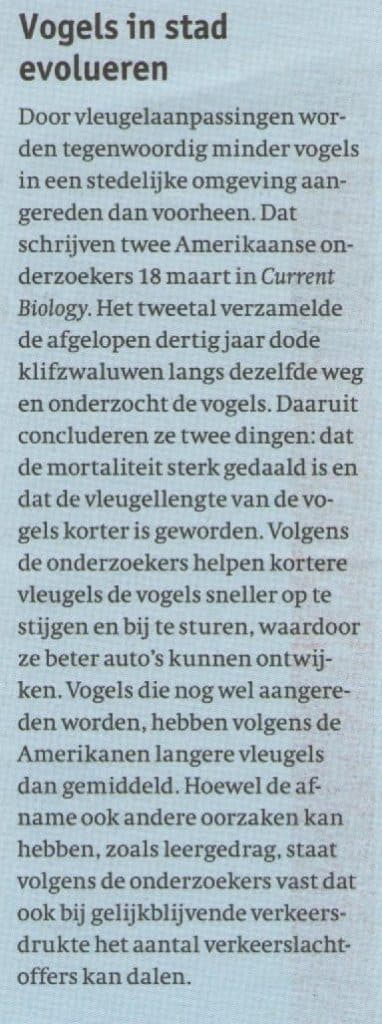 Vogels in de stad evolueren 7 Vogelsinstadevolueren