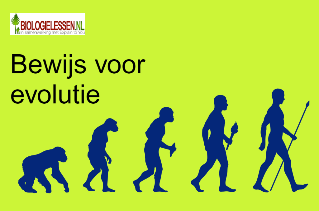 Bewijs voor evolutie