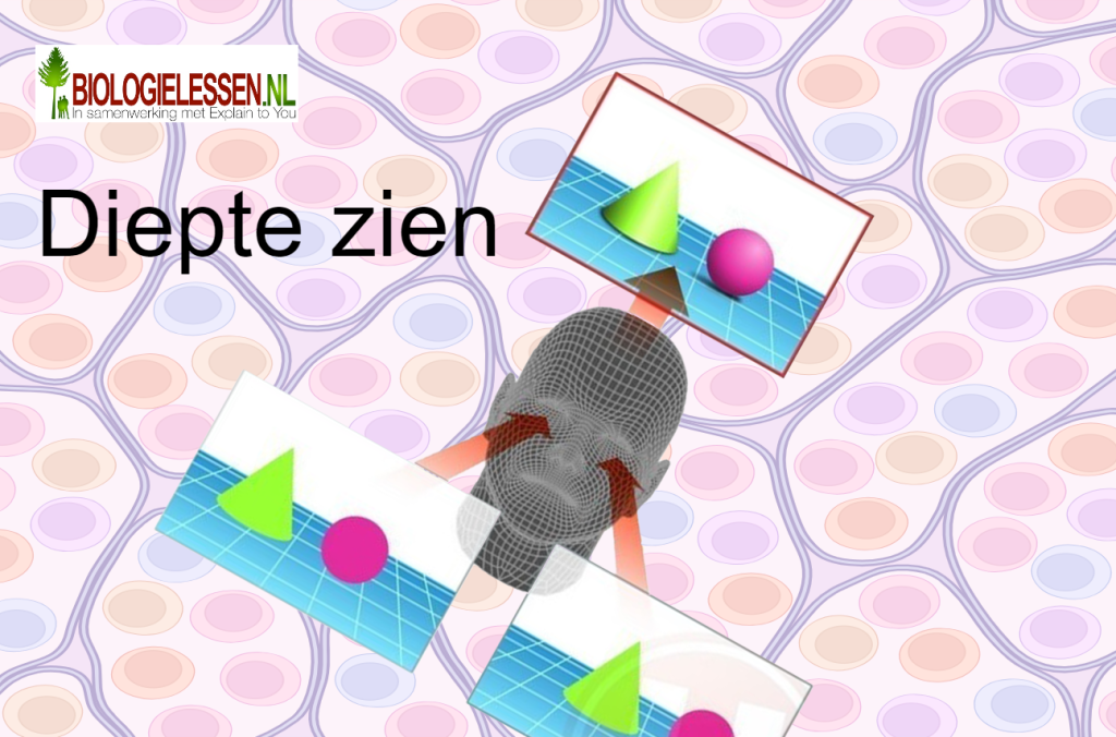 Diepte zien