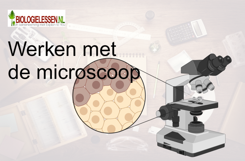 Werken met de microscoop OB