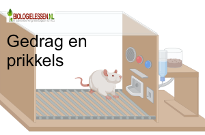 Gedrag en prikkels