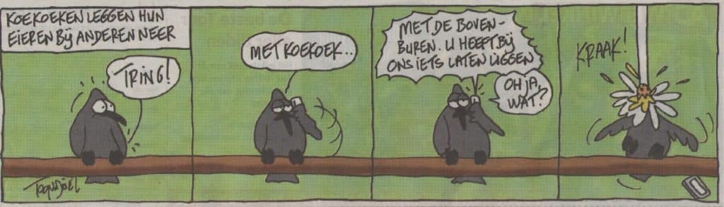 Koekoek 27 ToonendeKoekoek