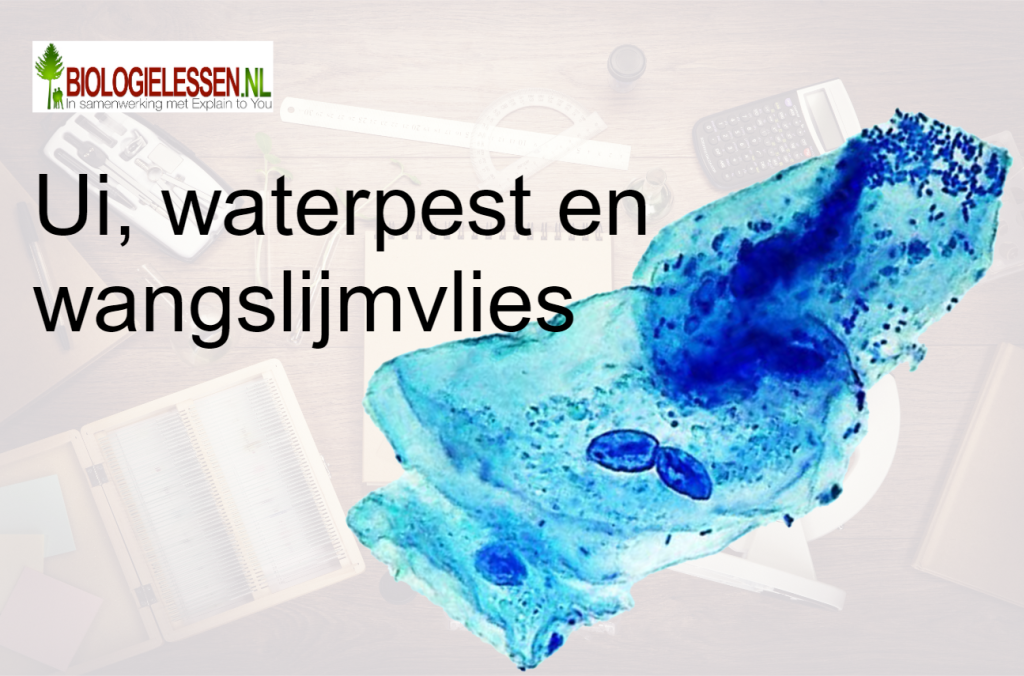 Ui en waterpest Biologie in de 1e klas OB