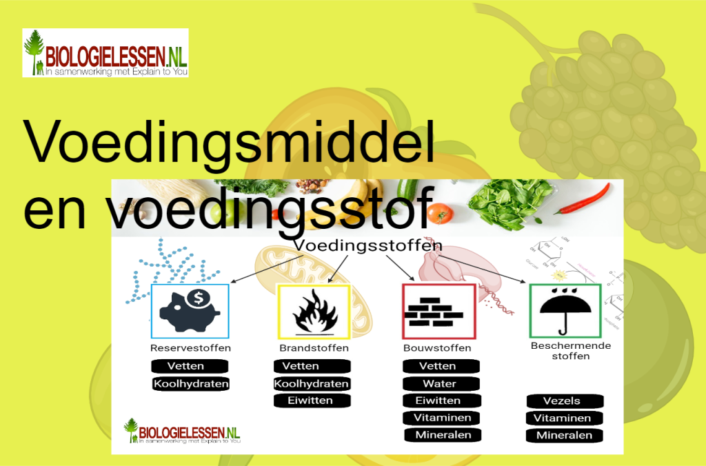 Voedingingsmiddel en voedingsstof