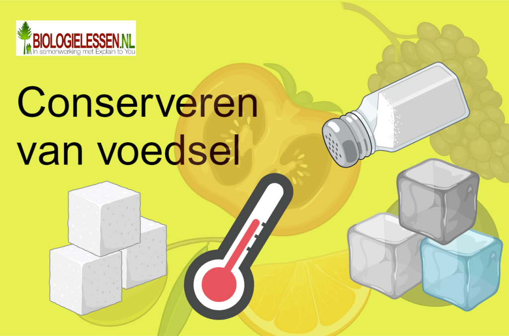 Conserveren van voedsel