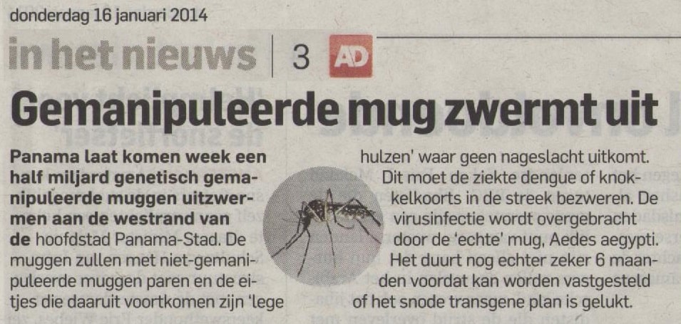 Gemanipuleerde mug zwermt uit 25 Gemanipileerdemugzwermtuit
