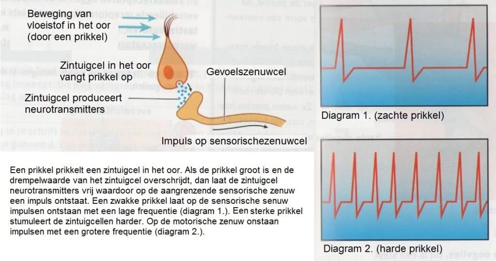 Impulssterkte 9 Impulsfrequentie