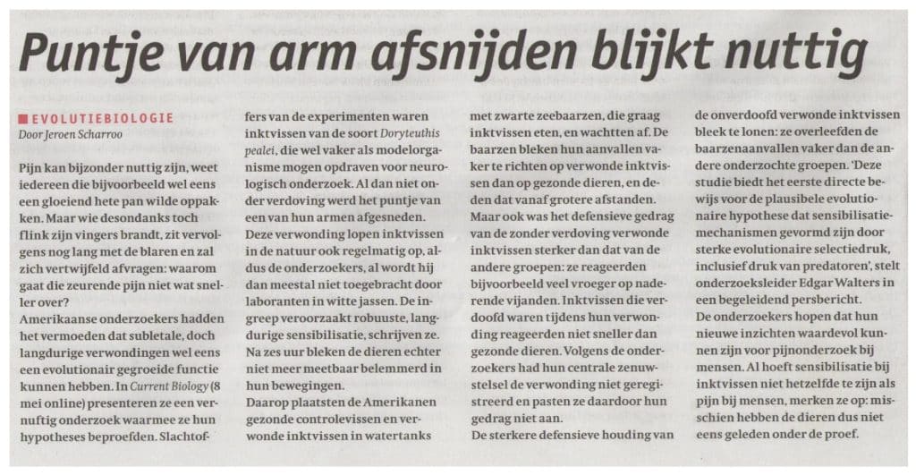 Puntje van de arm afsnijden blijkt nuttig 25 Puntjevandearmafsnijdenblijktnuttig