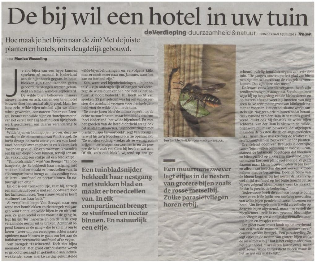 De bij wil een hotel in uw tuin 6 Debijwileenhotelinuwtuin