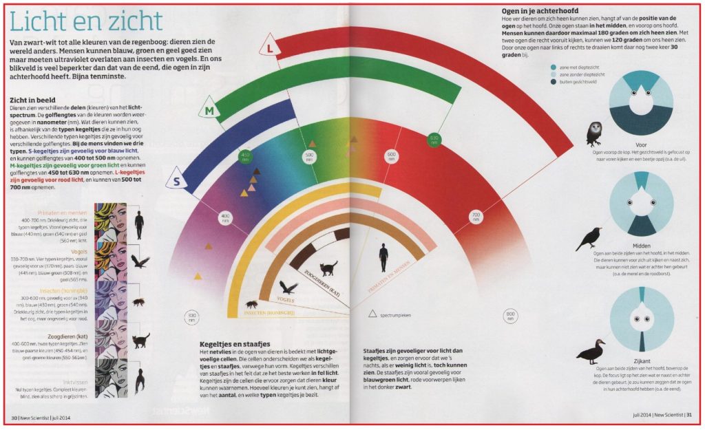 Licht en zicht 8 Lichtenzicht