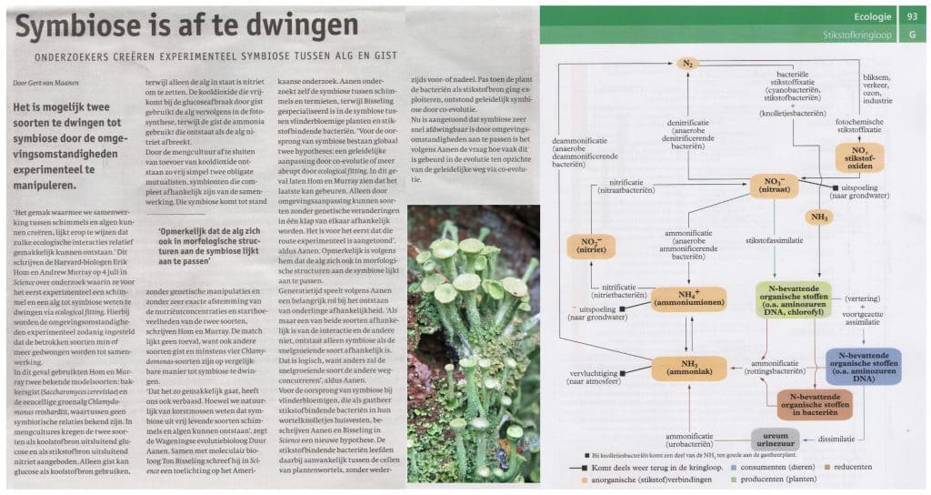 Symbiose is af te dwingen 18 Symbioseisaftedwingen