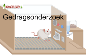 Gedrags onderzoek