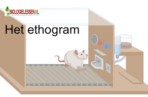 Het ethogram