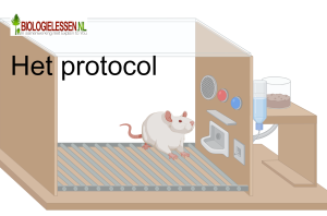 Het protocol