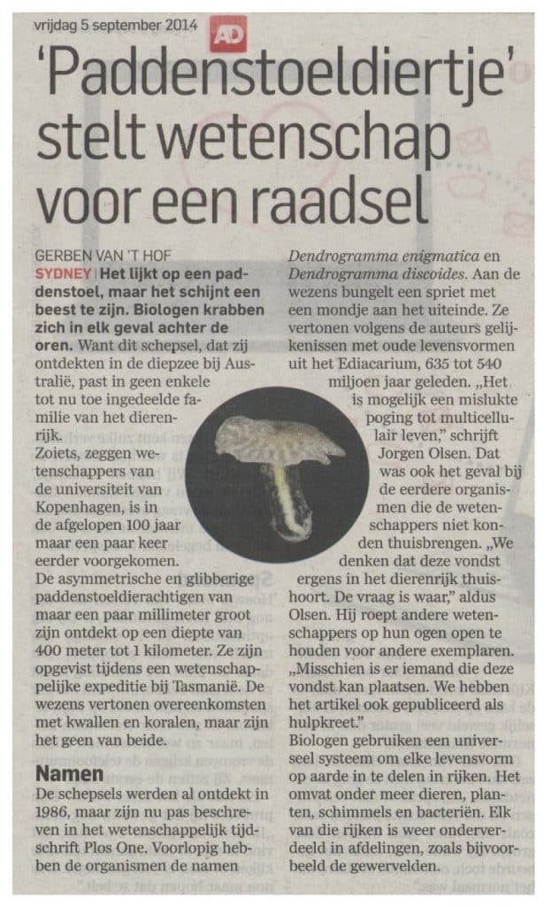 Paddenstoeldiertje stelt wetenschap voor raadsel. 17 Paddenstoeldiertje