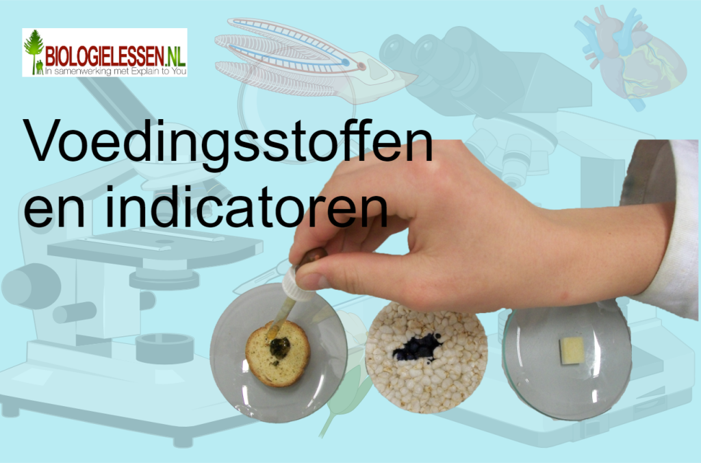 Voedingsstoffen en indicatoren vaardigheden