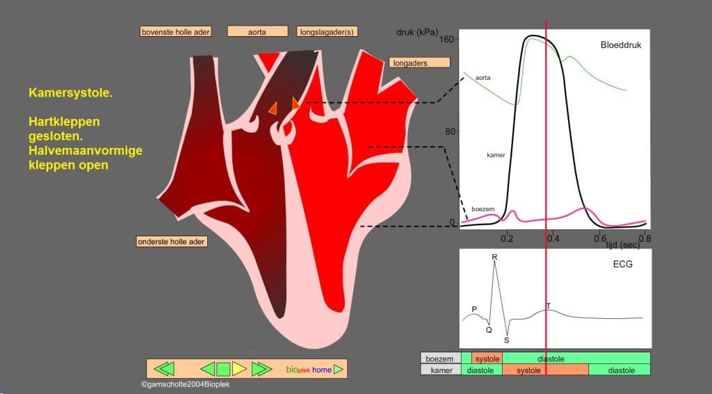 kamersystole