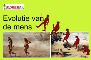 Evolutie van de mens