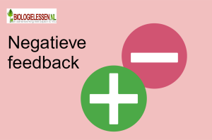 Negatieve feedback