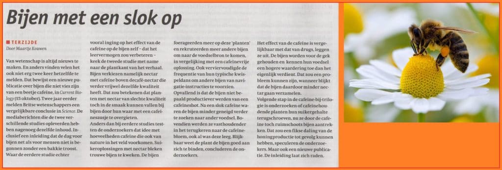 Bijenmeteenslokop