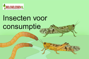 Insecten voor humane consumptie