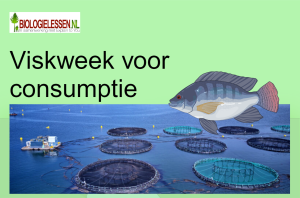 Viskweek voor humane consumptie